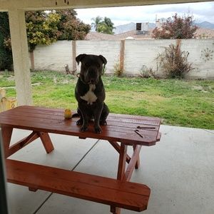 Meet your Posher, Diana